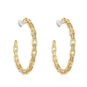Elegant Gold Hoop Earrings